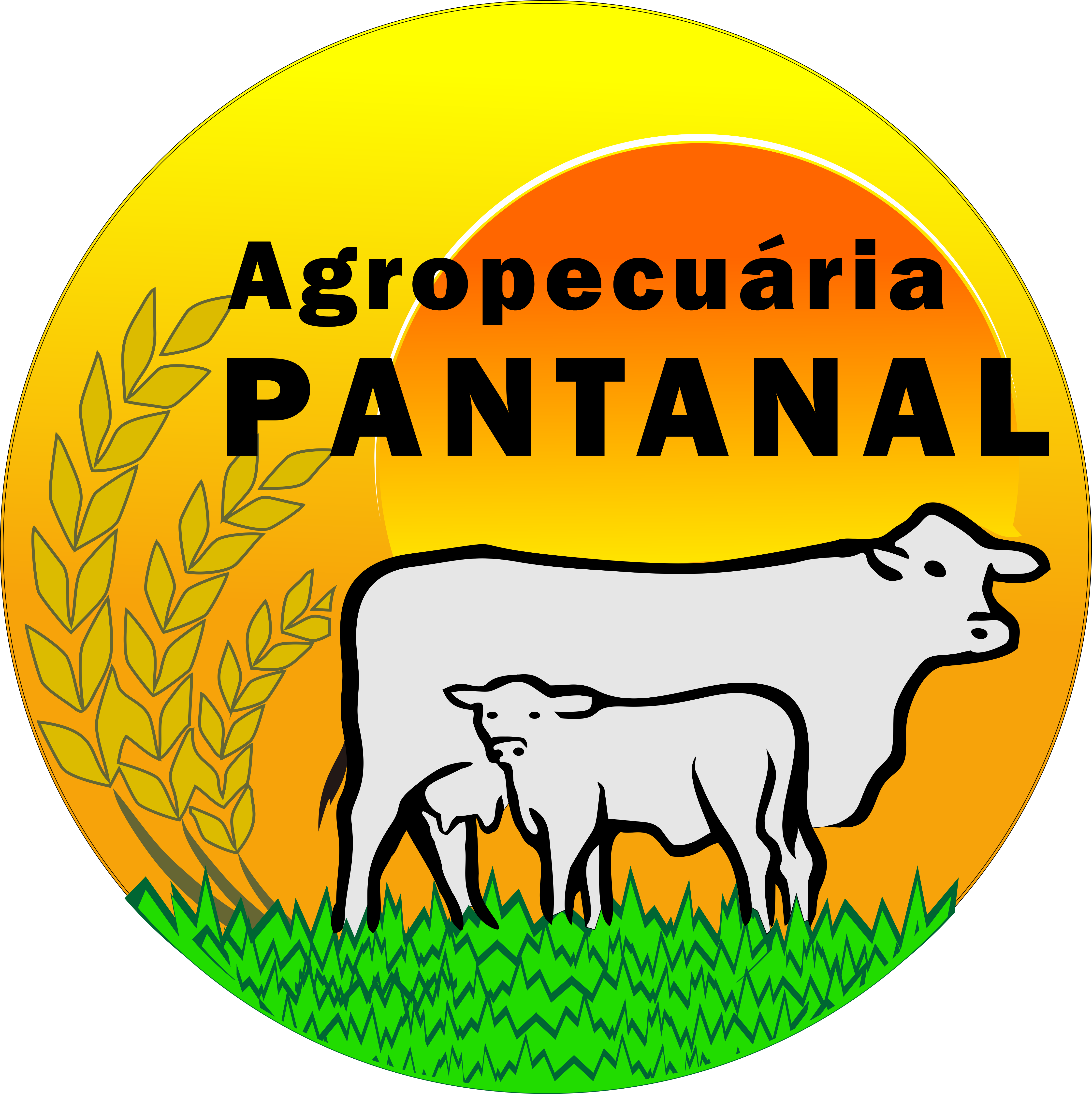 Descrição da imagem